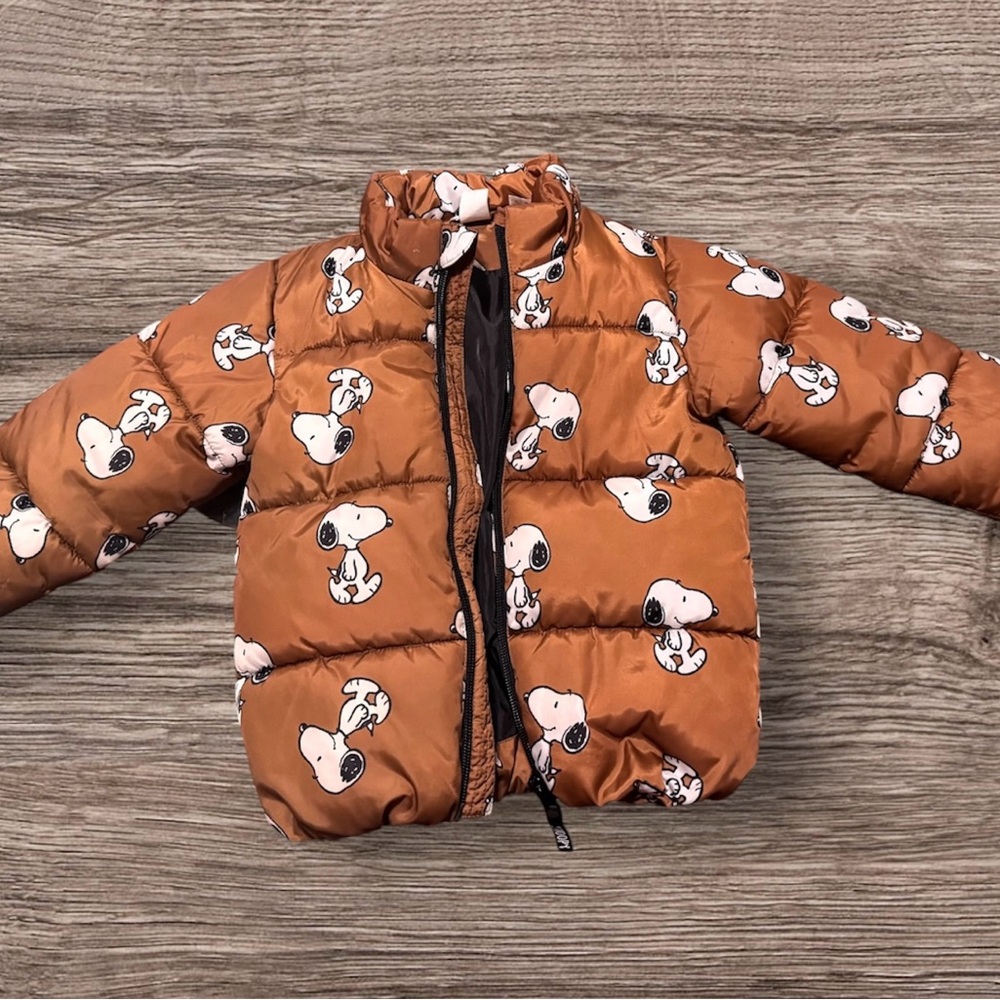 H&M Brown peanuts  Print Jacket